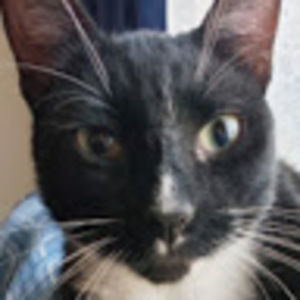 Meet your Posher, Lori